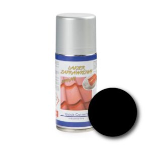 Reparatieverf 400 ml zwart (Ral 9005)